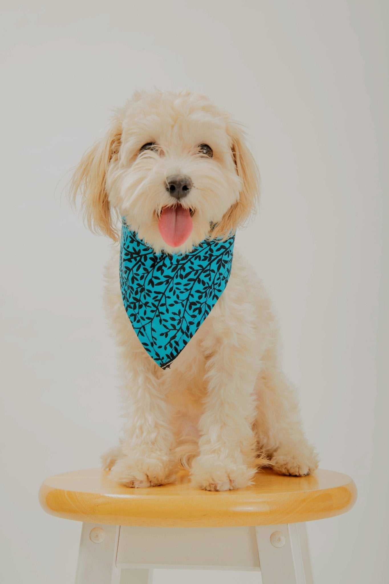 Entog African Print Dog Bandana